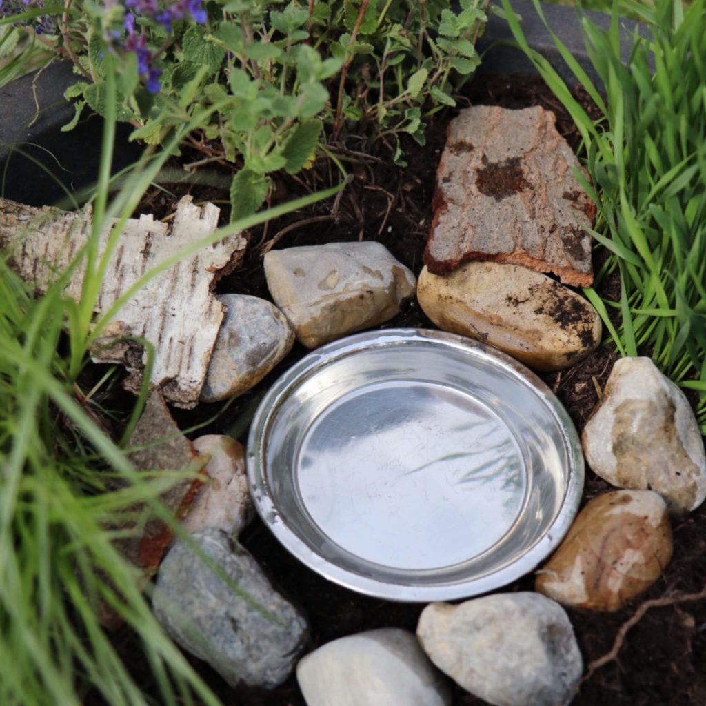 Wasserschale