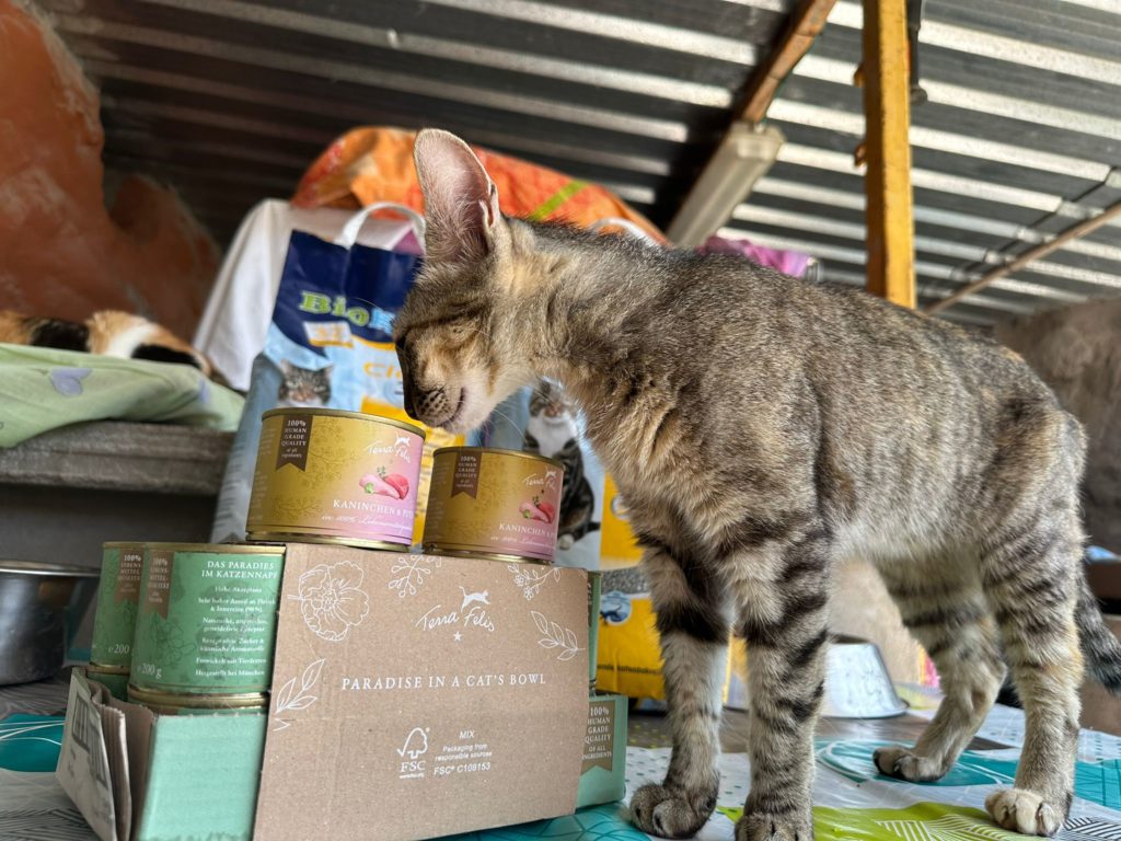 Aico und Katzenfutter Terra Felis