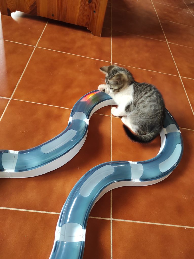 Hobbes und Spielschiene Catiti