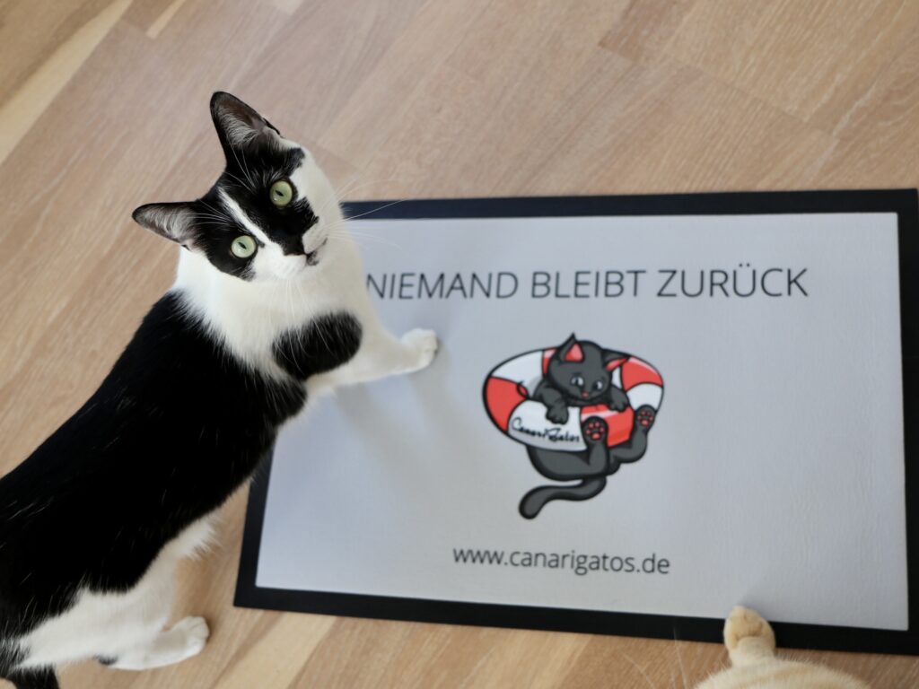 1a-Geschenkeshop-Fußmatte3